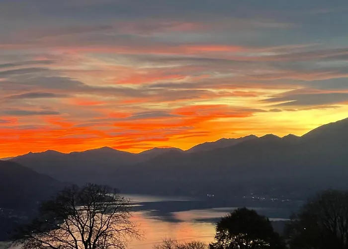 Ca Brunella 2 - Happy *